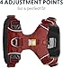 Ruffwear, Front Range Dog Harness, Reflective Soft Padded Everyday Harness with Dual Leash Clips, Adjustable and Lightweight Fit for Training or Walking for All Dogs, Red Clay, Large/X-Large