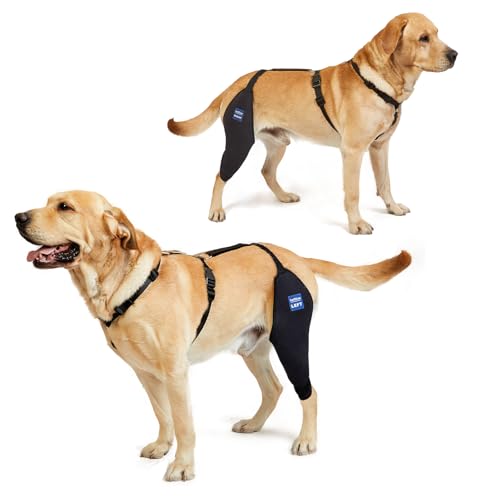 Image of Dog Knee Brace with Harness and Connection Belt, Lightweight and Stretchable, Support for Torn ACL Hind Leg, Luxating Patella, Reduces Arthritis Pain and Inflammation (X-Large)