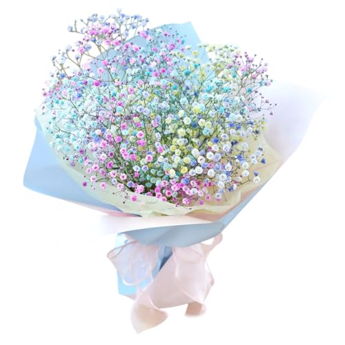 ԗR ̂܂܏ ԑ  (̂܂܃u[P/ݑver) AWg v[g j LO a t[Mtg a23cm