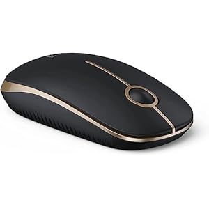 Seenda Wireless Mouse, 2.4G Widely Compatibility Silent Auto sleep Mice,18 month battery life, 1600 high DPI Precision,Smooth mouse for PC, Tablet, Laptop and Windows/Mac/Linux- Black and Gold