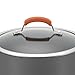 Rachael Ray Brights Hard-Anodized Aluminum Nonstick Cookware Set with Glass Lids, 10-Piece Pot and Pan Set, Gray with Orange Handles
