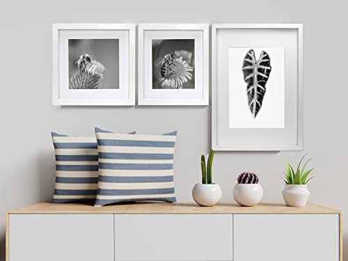 Set di 3 cornici portafoto quadrate bianche, 20 x