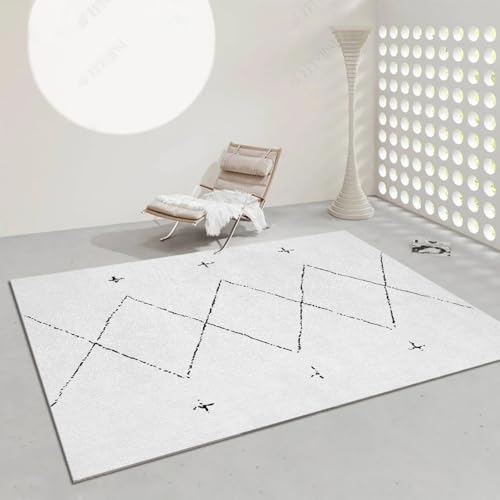 �uFrisence�v���O �J�[�y�b�g �􂦂� �̎╗ ����~�ߕt�� �h�� �h�� ���g�[�Ή� �z�b�g�J�[�y�b�g�� �}�C�N���t�@�C�o�[ ��z�R�� �i�`������ ����������� ���r���O �Q�� �a�� 200×300cm FRISY28-D50