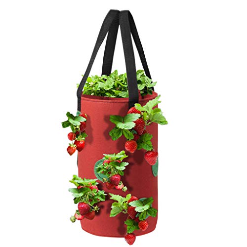 Hanging Strawberry Planter - 3 Gallon Strawberry Floral Grow Pot, Garden Upside Down Plant Bag, Thicken Felt Material Strawberry Grow Bag Garden Vegetable Planting Bags with Holes for House (C)
