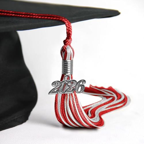 endea graduation mixed double color tassel with silver date drop