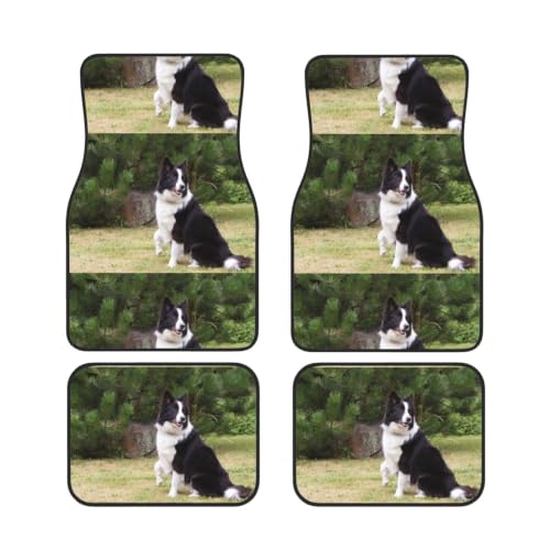 Alfombrillas Border Collie Perro Malo Juego de 4 Piezas Antideslizantes de Neopreno para Coche