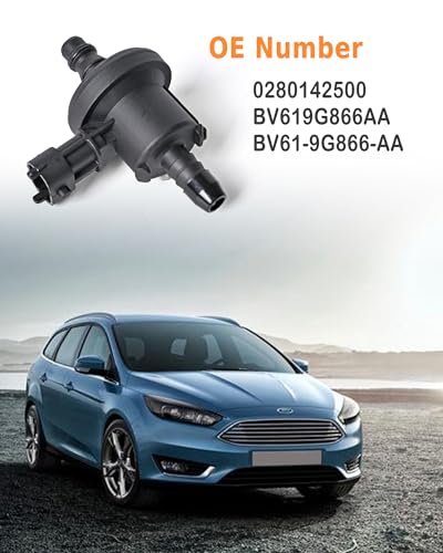 RICH Vanne de purge de cartouche vapeur pour F O R D Fiesta 2014-2019 1,6 L, système de valve à vide solénoïde de purge pour F O R D Focus 2.0L 2.3L Escape ​2.0L, 0280142500, BV619G866AA, BV61-9G866 – vue 4