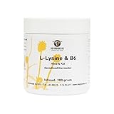De Groene Os L-lysine / B6 Hond / Kat-100 GR