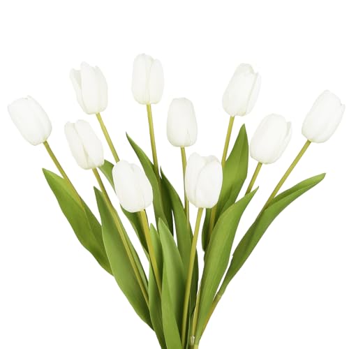 IPOPU White Tulips image