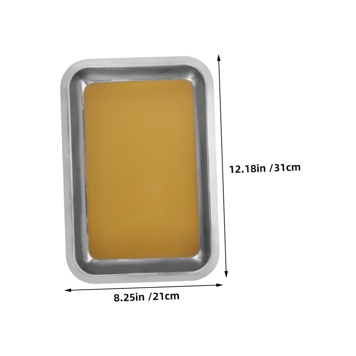 GLEAVI Plateaux de Dissection Facile à Nettoyer en Acier Inoxydable Lot de 2 Surface Antidérapante 31x21cm pour Laboratoires de Recherche et Formation