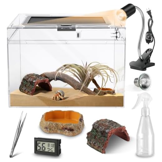 Reptile Terrarium Starter Kit Essentials