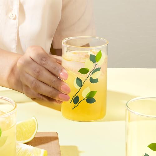 Image of Borosil 295 ml Set of 6 pcs Green Leaves Vision Transparent Glass | Cold Drink Tumbler, Beer Glass, Juice Glass | Flame Proof Glasses | Microwave & Dishwasher Safe | Glass Drinking Tumbler