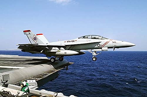 Amazon.com: F-18 Super Hornet VFA-102 Diamondbacks Navy 16x24