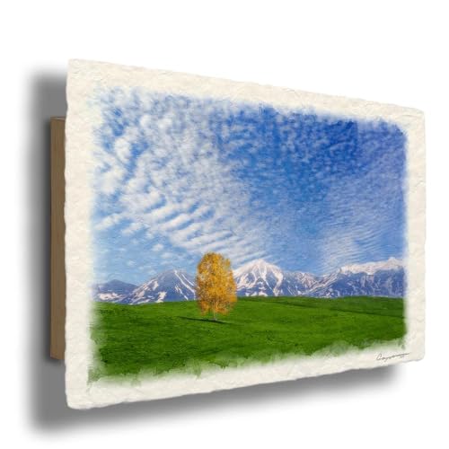 i G CeA A[gpl  G   Ǌ| åGʐ^ uH̉_Ə̎RƉt̔̋uv plt 30x21cm R H F R̊G Natural Memories