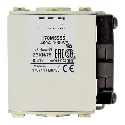 Fusible 170M5955 standard européen format cube pour fixation à extrémité plate