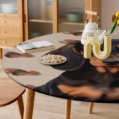 Nappe ronde élastique teckel imperméable et extensible pour table de repas ronde - 7