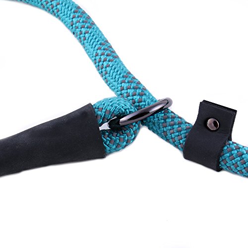 Max And Neo Rope Slip Lead Reflective 5 Foot - We Donate A Leash To A Dog Rescue For Every Leash Sold (Teal, 5Ft X 1/2") #TOP2