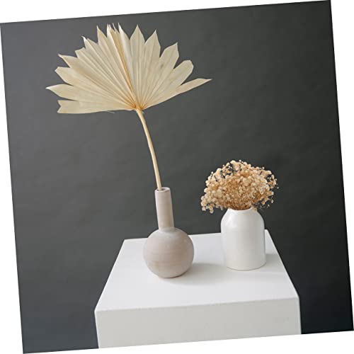 Ramo de Flores Secas Gypsophila para Decoración miniatura 4