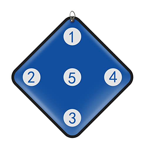 Fencing Target For Saber Foil And Epee With Five Bullseye - Self-Training Auxiliary Sword Target - Home Fencing Equipment For Child And Adult Fencer, Blue, 36X36X1.5Cm (Jianba-004) #TOP19