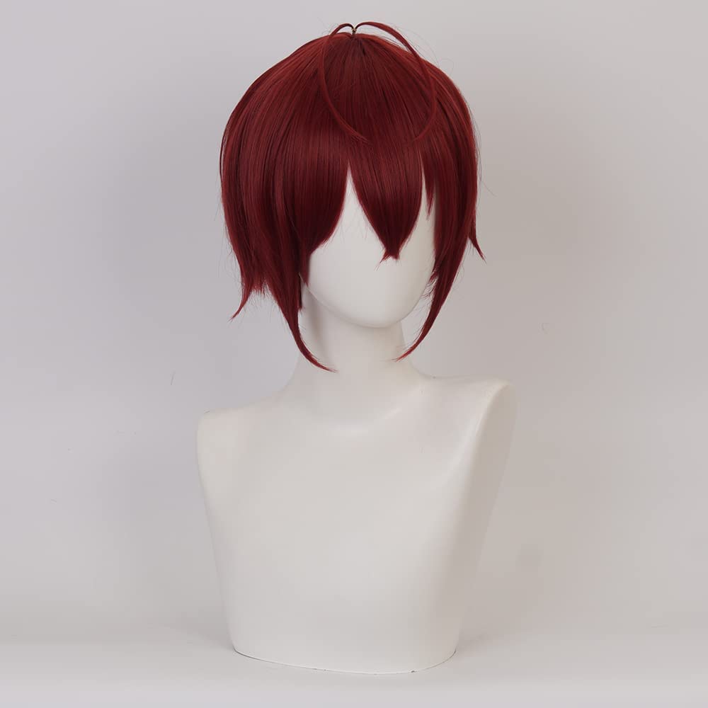 Wine Red Short Wig for Anime Costume with Straight Heat Resistant Synthetic Hair for Women Halloween Cos Anime Party Comic Con Replacement Wigs - Image 3