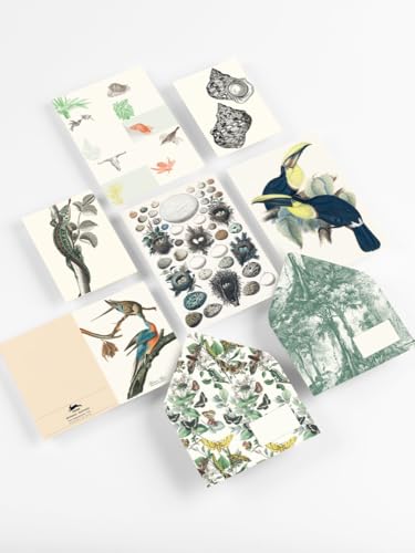 Natural History: Korrespondenz Set / Briefpapier Set / Set de Correspondance (Correspondence Set)