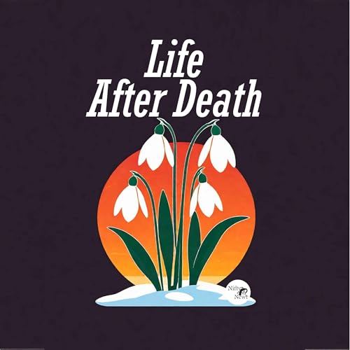 Life After Death cover art