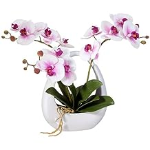 Dahlia Studios Potted Silk Faux Artificial Flowers Realistic Pink White Phalaenopsis Orchid in White Pot for Home Decoration Living Room Office Bedroom Bathroom Kitchen Dining Room 13" High