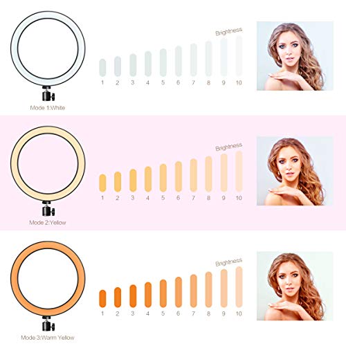 LED Ring Light 10" with Tripod Stand & Phone Holder for YouTube Video, Desk Selfie Ring Light Dimmable for Streaming, Makeup, Photography...