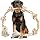 Durable Rope Chew Toy