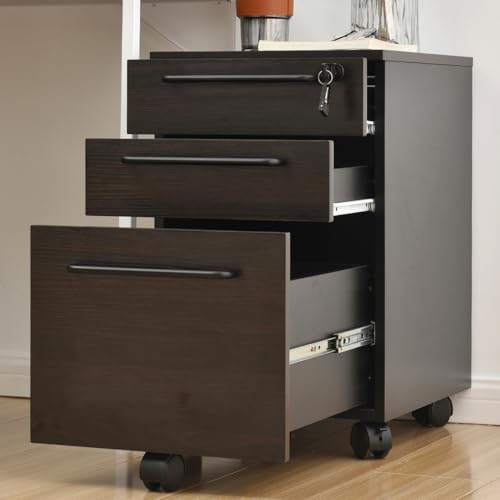 Simpolu fXNS ؐ t TChS 3i e [ ItBXS Lrlbg e fXNLrlbgbN LX^[t 3iI[bN o 36×s45×58.3cm (_[NuE,^Cv B 