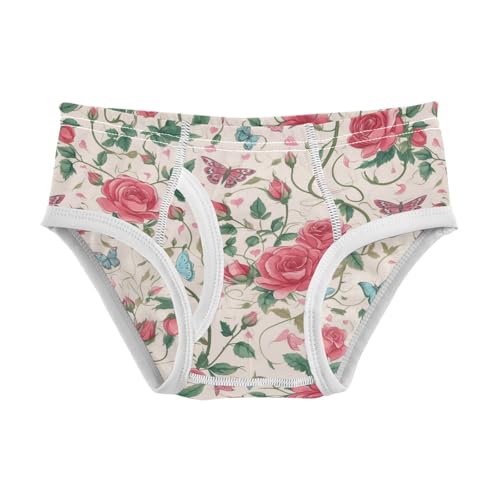 Wusikd Roses Butterflies Boys' Underwear Cotton Green Leaves Boys Briefs Soft Toddler Underwear 2T