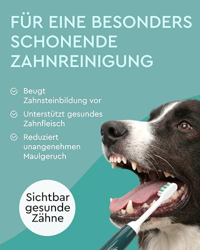 emmi-pet 2.0 Ultraschall-Zahnbürste, Geräuschlose Hundezahnbürste ohne Schrubben mit 96 Mio. Schwingungen - beugt Zahnstein & Entzündungen vor – Inkl. Ultraschall-Aufsätze & Hundezahnpasta – Grün