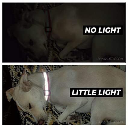 0 Agirav Reflective Dog Collar For Small, Medium, Large Dogs, Super Light Weight Collars With Adjustable Length And Heavy Duty Metal D Ring (Pack Of 5, Multicolor),15 cm,W_5 cm (Image - 7)