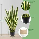 Warmplants Plante artificielle de serpents, 3ft Faux Sansevieria avec Panier, 35" Fausse mère en droit plantes, Faux parfaits pot de plantes Greenery pour la maison intérieure de bureau magasin de décoration réaliste (jaune)