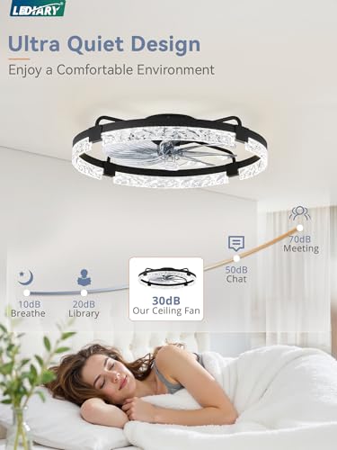 Image of LEDIARY 2-Pack 24 inch Ceiling Fans with Lights, APP & Remote, Black