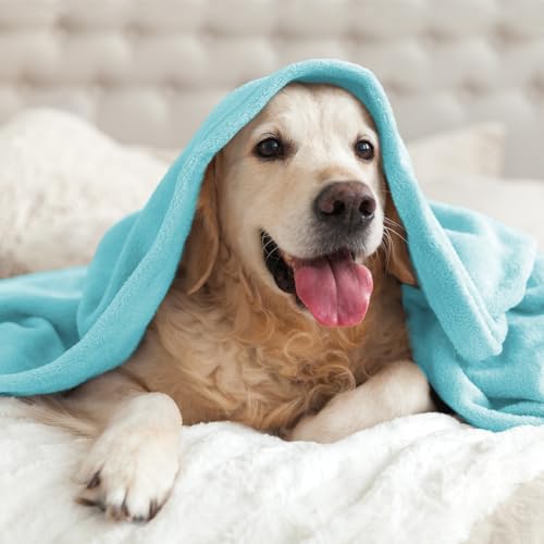 Image of BEDELITE Fleece Blanket Light Blue Throw Blankets for Couch & Bed, Luxury Plush Cozy Fuzzy Blanket 50 inch x 60 inch, Super Soft Warm Lightweight Throw Blanket for Travel Camping