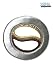 Imagen de Fun Costumes Xena Chakram Standard