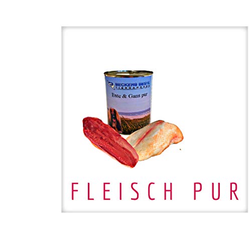 Beckers Beste Tiernahrung - getreidefrei Hundefutter Ente + Gans pur 12x 800 g - Nassfutter für Hunde - Dosenfutter Allergie – Barf verzehrfertig- für große & kleine Hunde