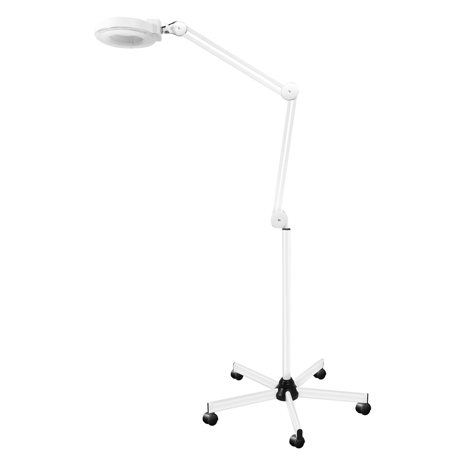 Lampada a lente d'ingrandimento, 5 x 5 piedi, 220 V, 24 W, tubo fluorescente ad anello, antiruggine, con ruota girevole a 360°, utilizzabile per studio, dentale, unghie, ciglia, tatuaggio