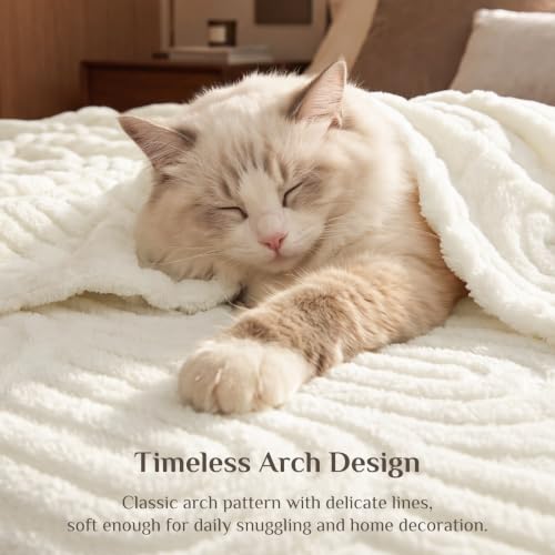 Image of BEDELITE Cream White Boho Fleece Throw Blanket for Couch, 50x60 Inches