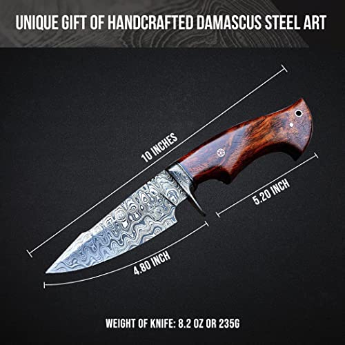 Bigcat Roar 10" Handmade Damascus Hunting Knife With Leather Sheath - Ideal For Skinning, Camping, Outdoor - Edc Fixed Blade Bushcraft Knife With Walnut Wood Handle - Predator Hunter #TOP1