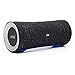 Alpine Turn1 Waterproof Bluetooth Speaker