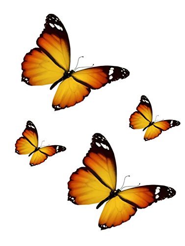 Akachafactory Set 4X Autocollant Sticker Voiture Moto Deco Papillon Jaune Orange frigo