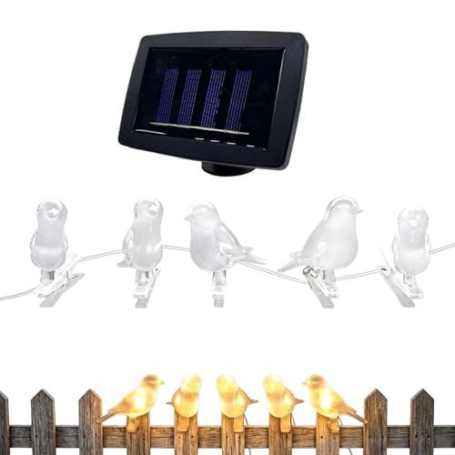 Genérico Cadena de luces LED solares con clip para pájaros, luces solares para exteriores, cadena de luce para pájaros, luz de para jardín interior, patio, césped, entrada, balcón, cerca, árbol