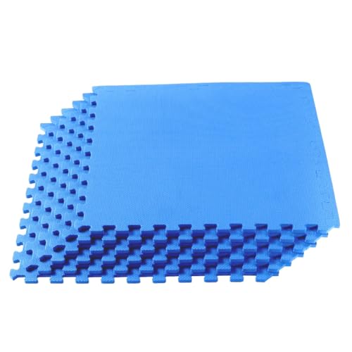 Interlocking Floor Mats Blue Gym Mat Home Gym...