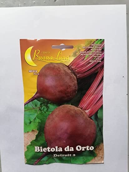 BUONA LUNA BIETOLA DA ORTO (BEETROOT) DETROIT 2