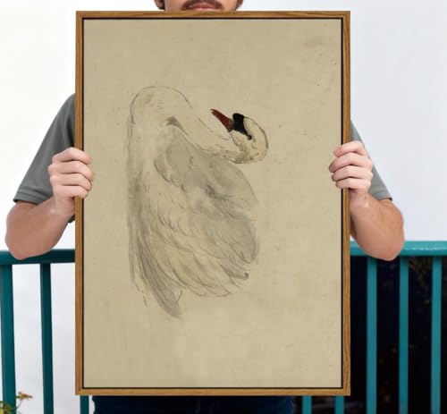 Image of KISSFOX Framed Wall Art Vintage Wall Decor Swan Pictures Retro Animal Canvas Art Rustic Aesthetic Paintings Farmhouse Artwork For Bedroom Living Room Kitchen