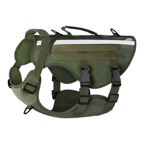 n[lXE[ht ːpA^Ƒ^A̎U 31Zbg (XL*3,O[)