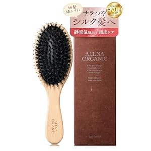 【極上シルク髪】オルナ オーガニック ヘアブラシ 豚毛 レディース ツヤ髪 プレゼント 女性" 