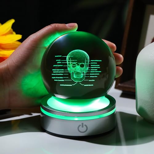 Image of Arikyrist Crystal 3D Human Skull Figurine 3.15 in. Ball Gifts for Him Her | Skeleton Anatomical Mini Model, Colorful Light Base, for Neurologist Psychologist Doctors, Graduation Gifts, Medical Students